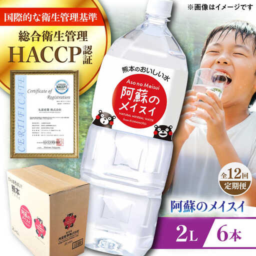 【全12回定期便】阿蘇のメイスイ 2L 6本×1ケース ミネラルウォーター BHDG026 ウォーター