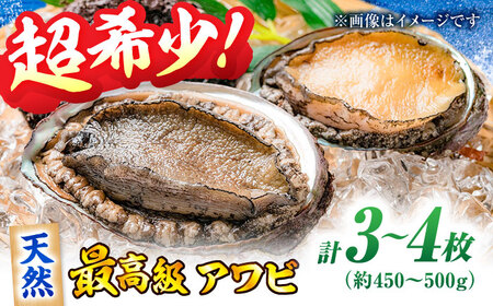 天然活きアワビ(3-4枚) あわび 魚介 鮑[AGBP007]
