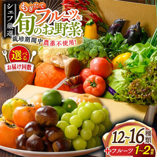 野菜+果物 詰め合わせ（13-17種）果物 フルーツ[AGBX006]