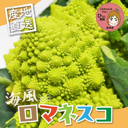 ロマネスコ 3個