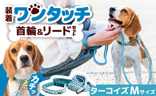 ペット 犬の首輪＆リードセット ターコイズ M ペット BLBX006