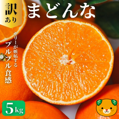 【先行予約：2026年11月20日～発送】訳あり まどんな 5kg 数量限定 愛南町青果市場組合