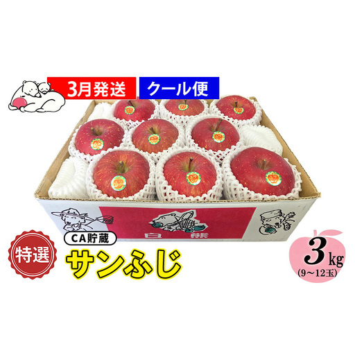 【クール便】3月発送 白熊 特選 サンふじ 絆 約3kg 糖度13度【青森りんご 果物 フルーツ 食後 デザート シャキシャキ ジューシー りんごの王様 】