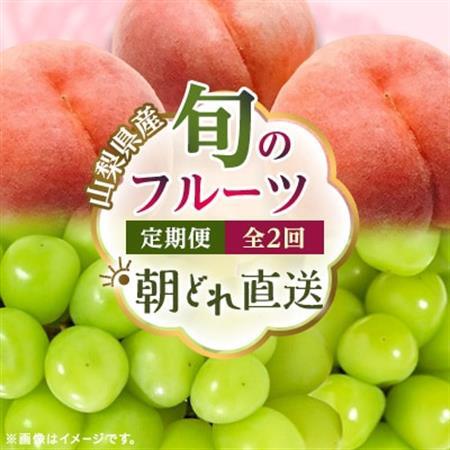 【発送月固定定期便】 旬のフルーツ定期便 桃900g・シャイン500g全2回【配送不可地域：離島・沖縄県】【4078906】