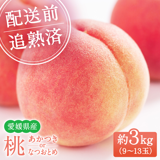 桃（約3kg）桃 [AGBD006]