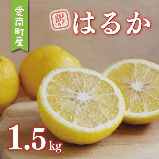 訳あり はるか 1.5kg あいなんマザーズ