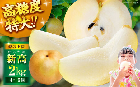 梨 2kg(新高)梨 なし [AGBD001]