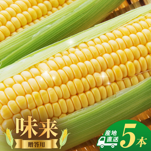 とうもろこし 味来 贈答用 5本 トウモロコシ