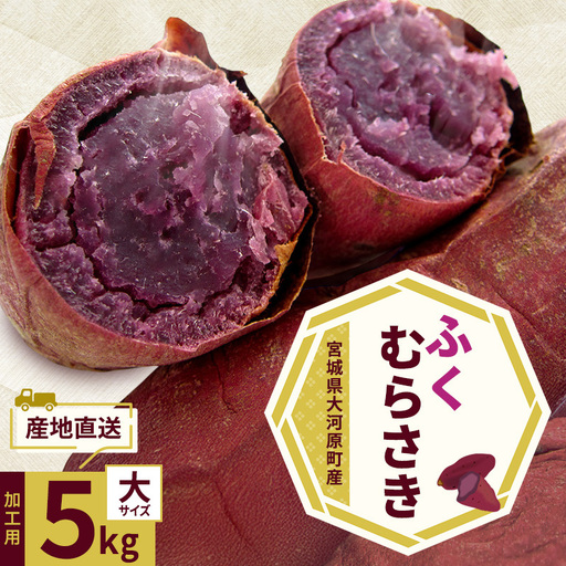 さつまいも 約5kg ふくむらさき 加工用 サツマイモ