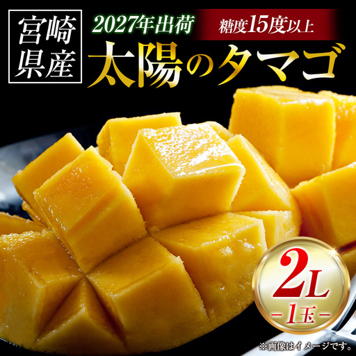 マンゴー 【令和9年発送 先行予約】完熟マンゴー「太陽のタマゴ」 2L×1玉 マンゴー