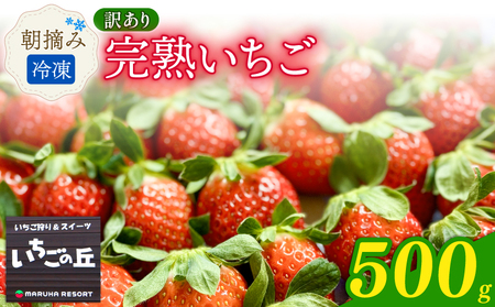 まるは食堂 マルハリゾート いちごの丘の『 訳あり 』完熟冷凍いちご 500g