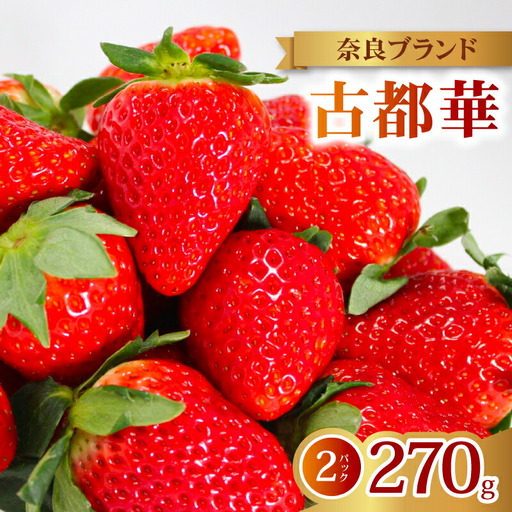 [2027年1月〜発送予定]イチゴ 古都華 家庭用イチゴ 約270g×2パック