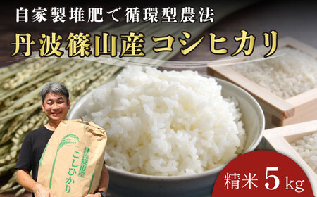 コシヒカリ【令和8年産丹波篠山産】精米 5kg コシヒカリ