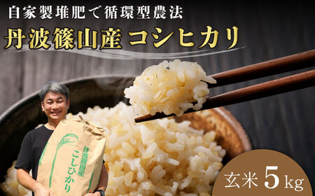 [令和7年産丹波篠山産]コシヒカリ 玄米 5kg こしひかり [DP07]