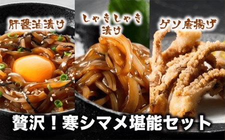 イカ 堪能セット イカ