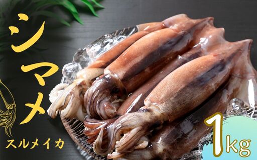 旨味たっぷり！旬の朝どれシマメ（スルメイカ）丸ごと5～6本（1kg以上）｜イカ いか 烏賊 母の日 父の日 個包装 冷凍