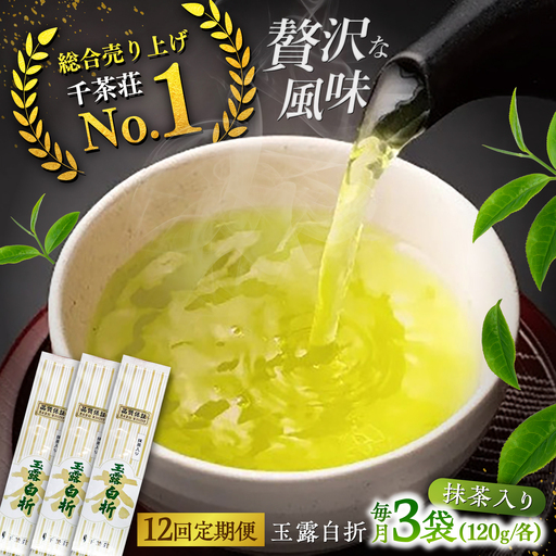 【全12回定期便】抹茶入り煎茶玉露白折120g×3袋セット(ご自宅用) 島根県松江市/株式会社千茶荘[ALBF012]