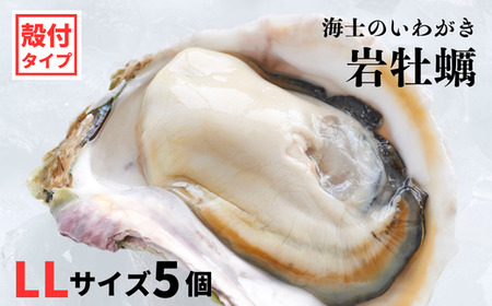 [海士のいわがき]殻付き LLサイズ 5個 岩牡蠣 生食可 新鮮クリーミー 冷凍 牡蛎 牡蠣 かき カキ 岩牡蠣 いわがき CAS CAS冷凍 父の日 母の日 バーベキュー ギフト