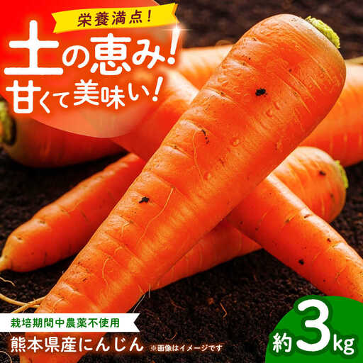 [先行予約]にんじん 約3kg 天日塩&発酵土壌で作ったこだわりの人参 [株式会社 夢アグリ]