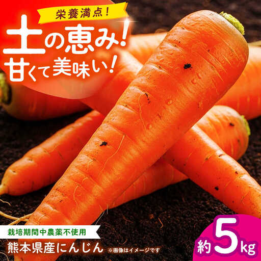 【先行予約】にんじん 約5kg 天日塩＆発酵土壌で作ったこだわりの人参 【株式会社 夢アグリ】[ZCL019]