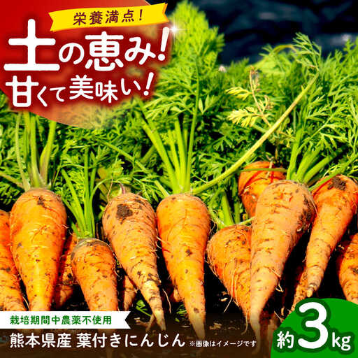 [先行予約]葉付きにんじん 約3kg 天日塩&発酵土壌で作ったこだわりの人参 [株式会社 夢アグリ]