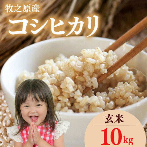【玄米】 コシヒカリ 玄米 ｜ 10kg こしひかり 令和7年産 玄米