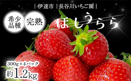 【先行予約】完熟いちご「ほしうらら」 約1.2kg いちご イチゴ 苺 デザート フルーツ 果物 くだもの 果実 食品 F21C-299