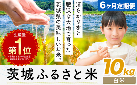 【6ヶ月定期便】米 茨城 ふるさと米 白米 10kg《申込月の翌月より出荷開始》茨城県 河内町 米 国産 お米 おこめ お弁当 おにぎり