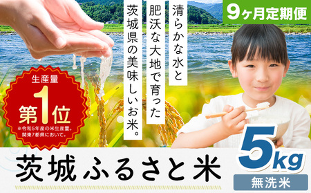 【9ヶ月定期便】米 茨城 ふるさと米 無洗米 5kg《申込月の翌月より出荷開始》茨城県 河内町 米 国産 お米 おこめ お弁当 おにぎり