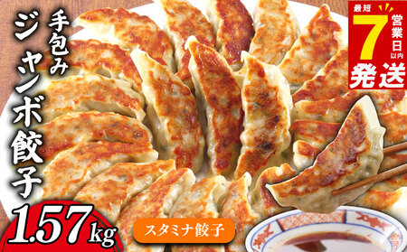 手包み ジャンボ スタミナ 餃子 45個 冷凍 [ 餃子 ]