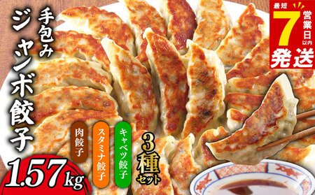 肉餃子 手包み ジャンボ 餃子 3種セット 肉餃子 スタミナ餃子 キャベツ餃子45個 冷凍 [ 餃子 ]