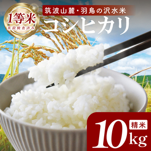 令和8年産米筑波山麓・羽鳥の沢水米 コシヒカリ 精米 10kg【茨城県共通返礼品：桜川市】|お米 米 こしひかり 茨城県 取手市（CA002）