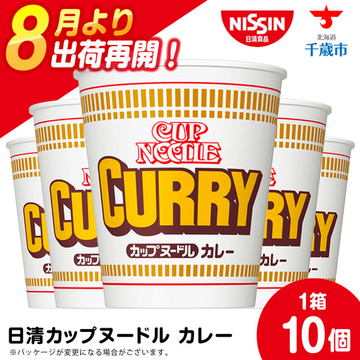 日清 カレーヌードル 10食