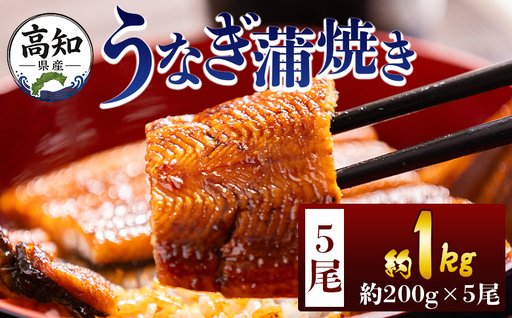 高知県産蒲焼きうなぎ ２００ｇ ５尾 計１０００ｇ fb-0162