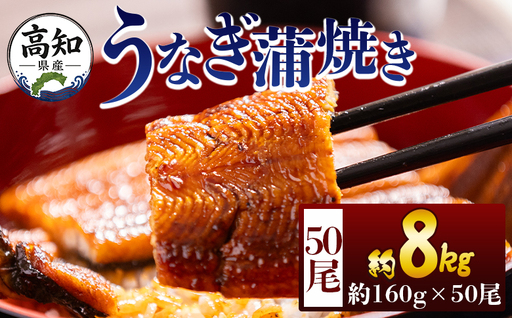 高知県産蒲焼きうなぎ １６０g ５０尾 計８０００ｇ fb-0187