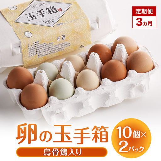 定期便 3ヵ月 卵の玉手箱(烏骨鶏入り)10個×2パック たまご 鶏卵 静岡県 森町