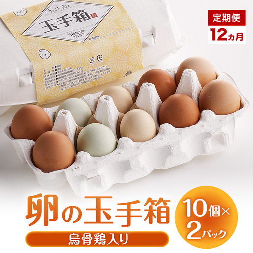 卵 卵の玉手箱 10個×2パック 12ヵ月 定期便 卵