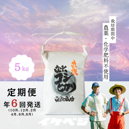 コシヒカリ 玄米 5kg 5回 定期便| 新潟県 佐渡市 コシヒカリ