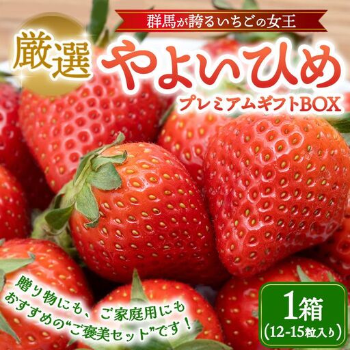 厳選 やよいひめ プレミアムギフトBOX 1箱 （3～4月発送） | いちご 大粒 高糖度 果物 フルーツ 苺 イチゴ くだもの 新鮮 朝採れ 朝どれ ギフト プレゼント 贈り物 国産 群馬県 伊勢崎市 ※2027年3月～発送
