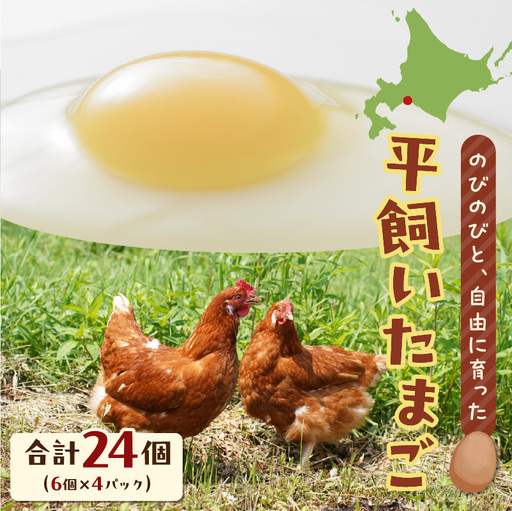 平飼い たまご T074-001 卵