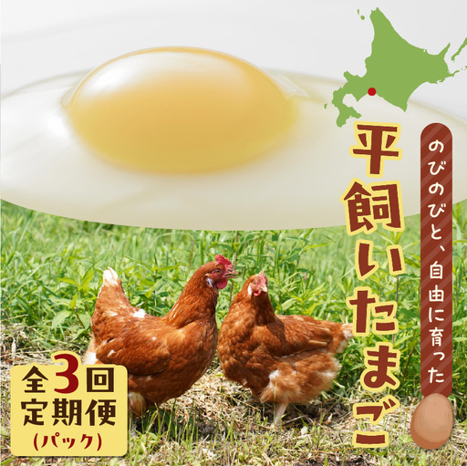 [ 全3回 定期便 ] 平飼い たまご T074-T01-01 卵