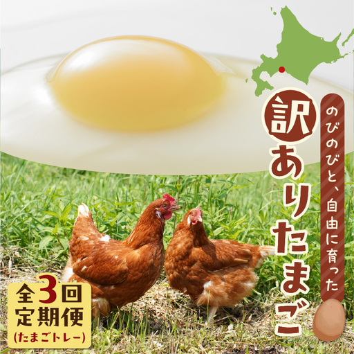 [ 全3回 定期便 ] 訳あり たまご ( たまごトレー ) T074-T02 卵