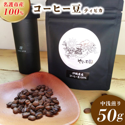 名護市産100％コーヒー豆（ティピカ）　中浅煎り　50g 沖縄県産 名護市 コーヒー コーヒー豆 ティピカ 中浅煎り おいしい おすすめ 焙煎 100％コーヒー豆 人気 お取り寄せ プレゼント お土産 ギフト 贈り物 やんばる おきなわ 名護