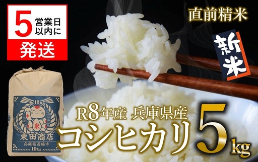 [スピード発送]コシヒカリ 5kg 白米 令和8年産