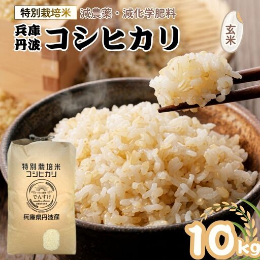 特別栽培米 丹波コシヒカリ 玄米 10kg 〈丹波市産〉 玄米 コシヒカリ
