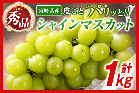 [令和8年発送 先行予約]小林市産 シャインマスカット 1kg(ブドウ ぶどう シャインマスカット マスカット フルーツ 果物 先行受付 限定)