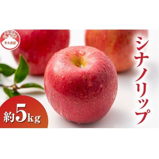 りんご シナノリップ 5kg 長野県産 りんご