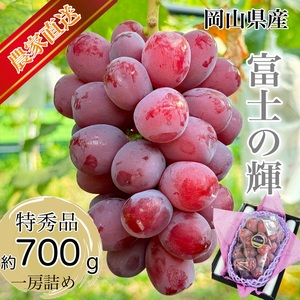 ぶどう 2026年 先行予約 話題の品種 富士の輝 1房詰め 特秀ランク 700g以上