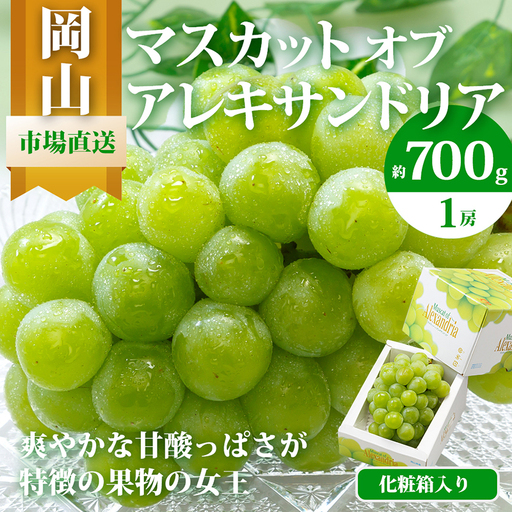 マスカット オブ・アレキサンドリア 化粧箱入り 岡山県産 マスカット【1房 700g以上】【先行予約】