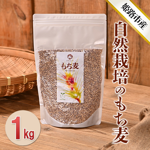 もち麦 自然栽培 ダイシモチ 1kg 無農薬 もち麦